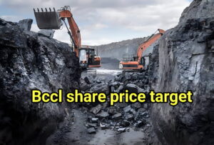 Bccl share price
