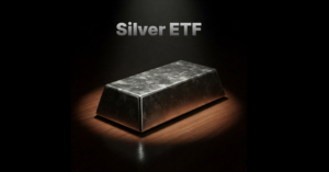 Tata silver etf share price 1 साल में 222.47% बढ़ा