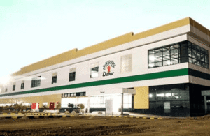 Dabur share price 1 सालो में 2% की बढ़त आई है जबकि 6